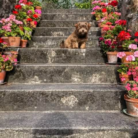 Foto von Unsplash von: - Gabriel Tenan