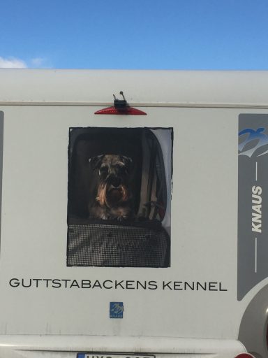 Gratis reklam via husbilen.